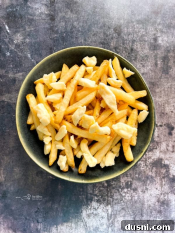 Authentic Homemade Poutine: A Canadian Classic 11 Overhead View of Plain Fries