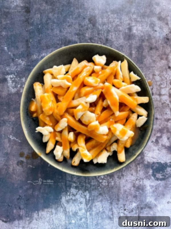 Authentic Homemade Poutine: A Canadian Classic 12 Overhead View of Bowl of Poutine