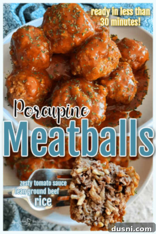Savory Rice-Studded Meatballs 10 Porcupine Meatballs - An Affair from the Heart recipe card