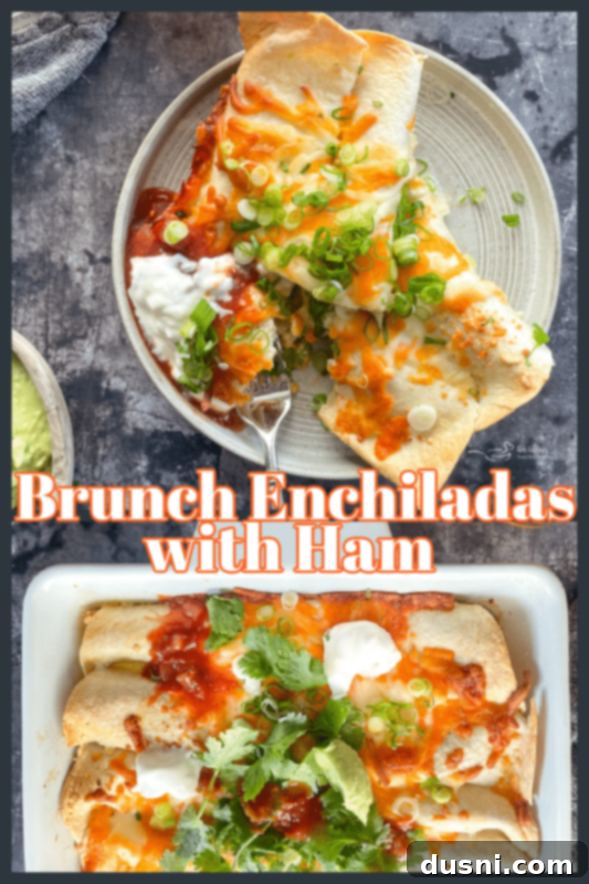 Ham & Cheese Brunch Enchiladas 16 Overhead shot of two plates featuring Ham and Cheese Brunch Enchiladas, one with salsa and avocado, the other plain