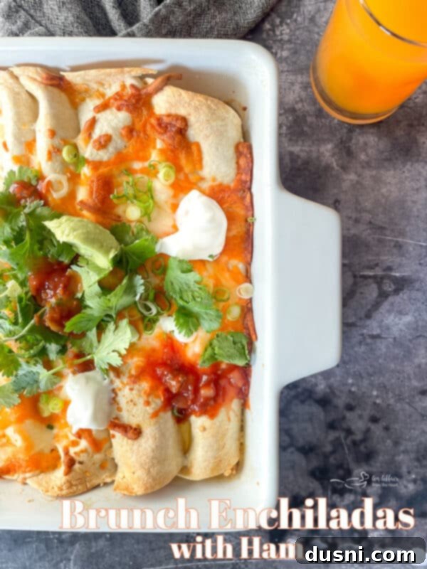 A final close-up shot of a single serving of Ham & Cheese Brunch Enchiladas on a plate