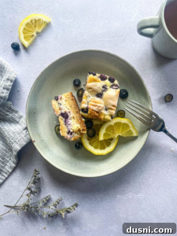 Lemon Blueberry Crumble Bliss 14 bowl with a serving of blueberry lemon crumb bar