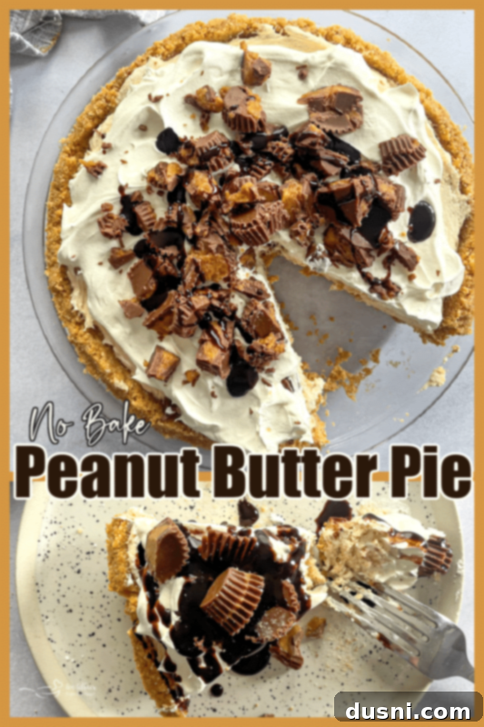 A beautifully presented no-bake peanut butter pie with a clean slice, ready to be enjoyed, highlighting its simple elegance