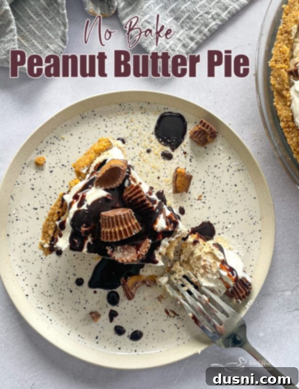 A vibrant and appealing No-Bake Peanut Butter Pie, showcasing its smooth texture, golden crust, and delicious toppings