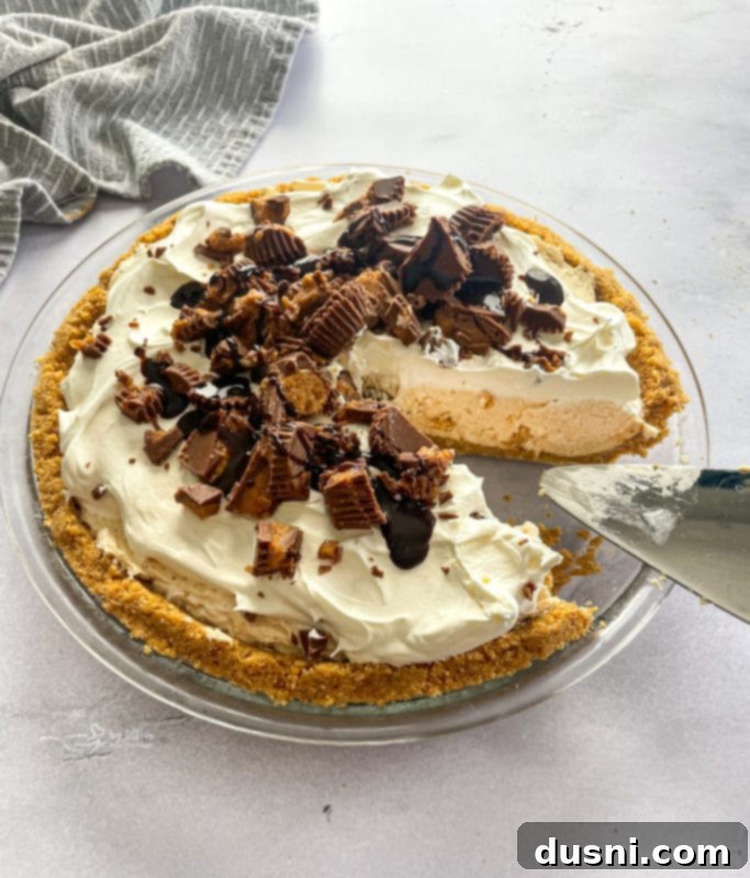 A whole No-Bake Peanut Butter Pie with a single slice removed, showcasing its rich texture and toppings