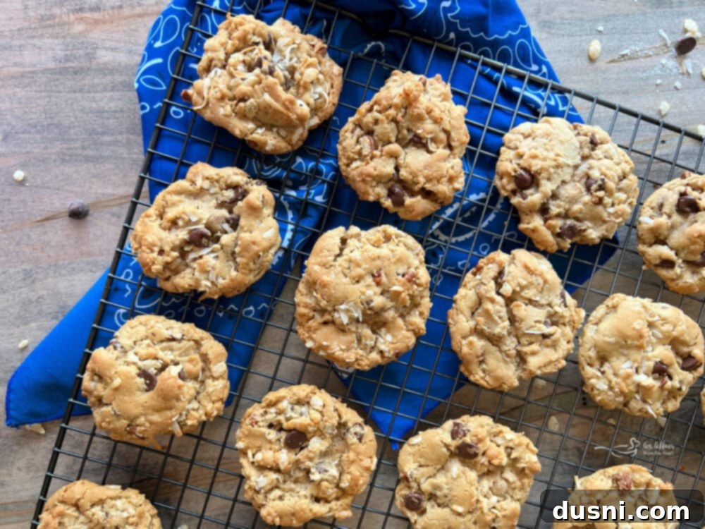 Western Cookies on Tray with Blue Towel