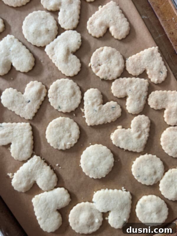 Lavender Shortbread and Lavender Strawberry Cream 17 Freshly baked lavender shortbread cookies with a hint of golden brown on the edges, still on the baking sheet.