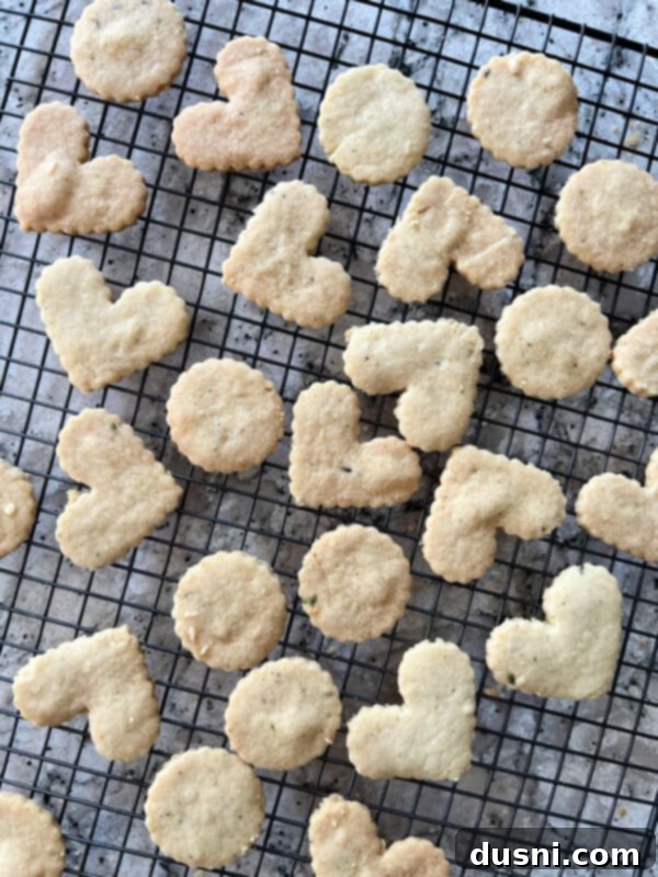 Lavender Shortbread and Lavender Strawberry Cream 19 Warm lavender shortbread cookies being carefully transferred from the baking sheet to a wire cooling rack.