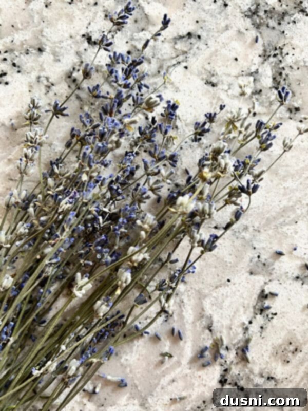 Lavender Shortbread and Lavender Strawberry Cream 4 Close-up of dried culinary lavender buds in a small white bowl, ready for baking.