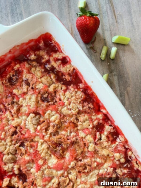 Strawberry Rhubarb Bliss 2 Warm Strawberry Rhubarb Cobbler with melting vanilla ice cream scoop