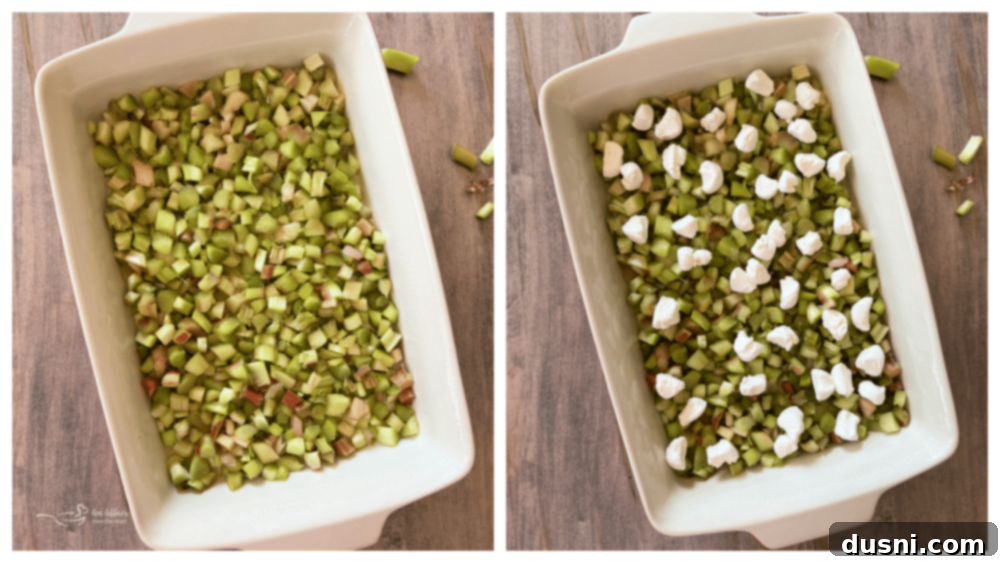 Strawberry Rhubarb Bliss 7 Layering rhubarb and marshmallows in a baking dish for Strawberry Rhubarb Cobbler