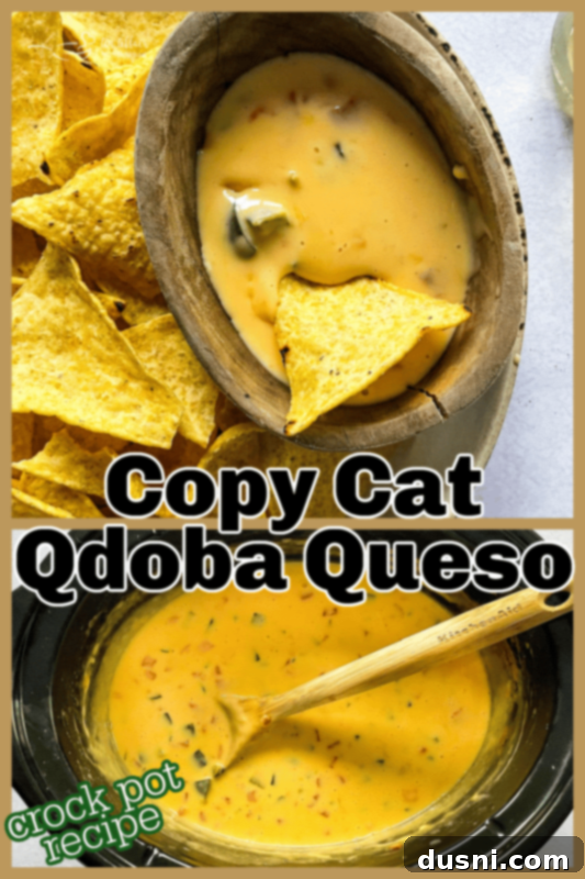Homemade Qdoba Queso 15 Copy Cat Qdoba Queso _ An Affair from the Heart