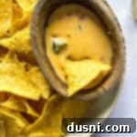 Homemade Qdoba Queso 21 Chip Dipped in Spicy Dip