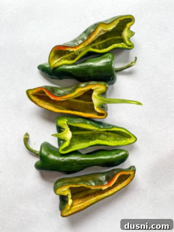 Homemade Qdoba Queso 7 Cheese Ingredients for Copy Cat Qdoba Queso