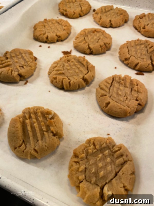 warm peanut butter cookies cooling on a metal wire rack