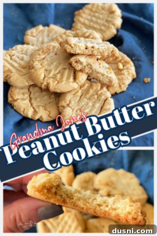 graphic for mom's peanut butter cookies recipe with a vintage feel