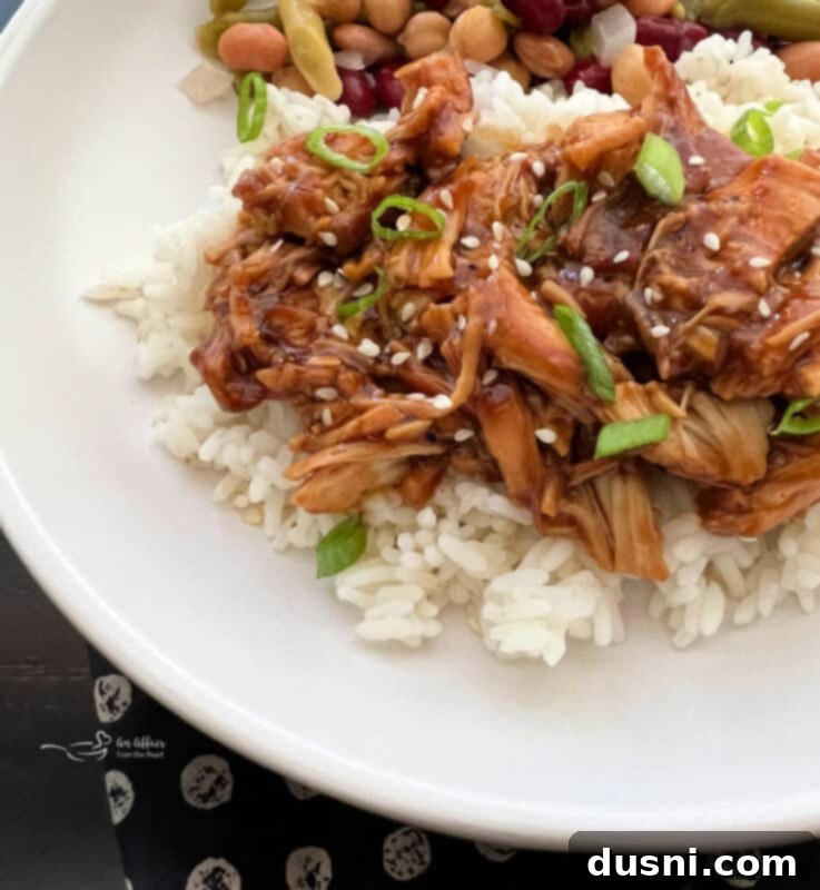 Served Slow Cooker Teriyaki Chicken