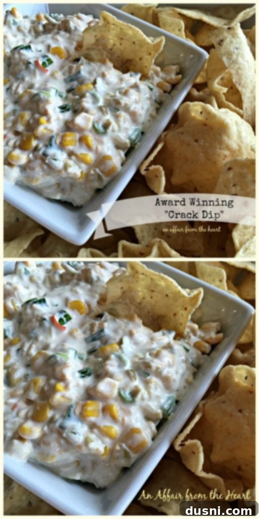 Collage of Award Winning Crack Dip images