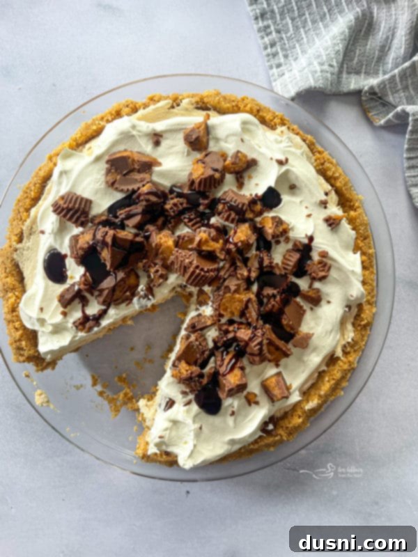 No-Bake Peanut Butter Pie, a related dessert.