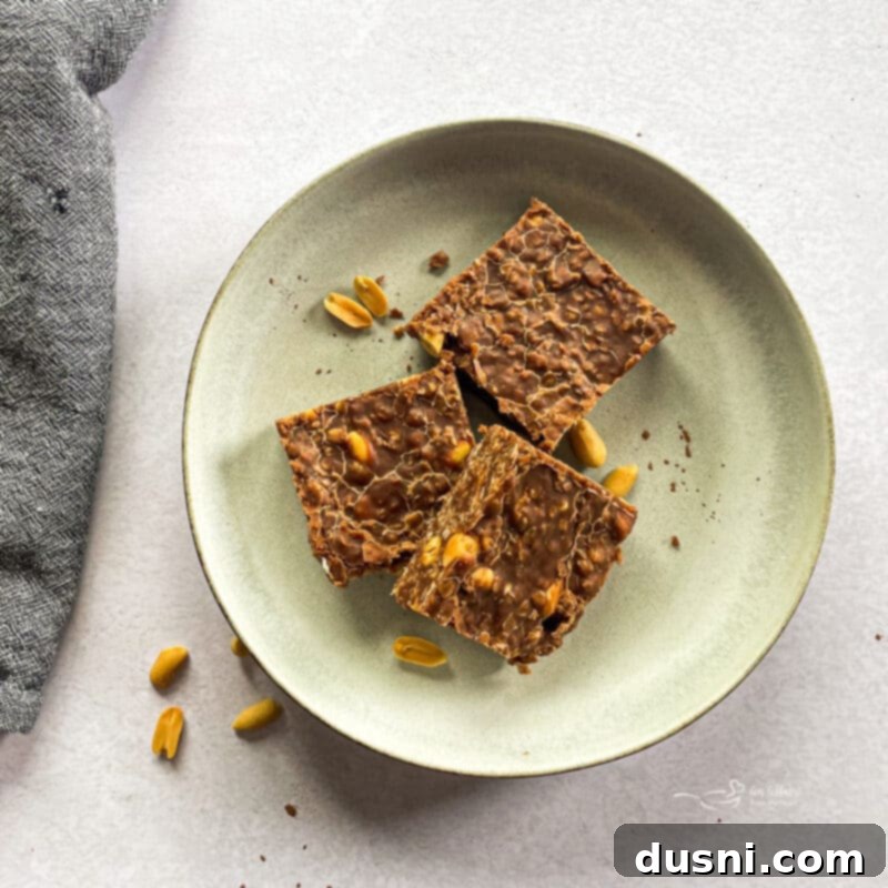 Close-up of No-Bake Chocolate Peanut Butter Cookie Bars in a pan.