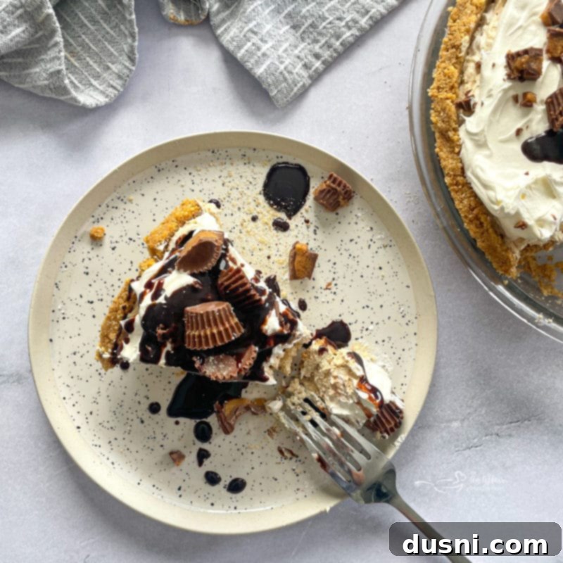 Ultimate Reese's Peanut Butter Cookies 12 Slice of No-Bake Peanut Butter Pie with Chocolate Syrup and Reese's Drizzled on Top, showing a creamy texture and crushed Reese's pieces.