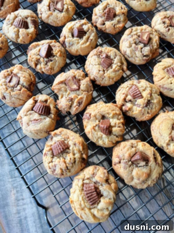 Ultimate Reese's Peanut Butter Cookies 9 Freshly baked Reese's Peanut Butter Cup Cookies, still warm, on a baking sheet, showing their soft centers and golden edges.