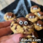 Hand holding a spider cookie up close.