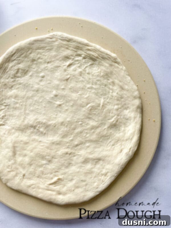 Artisan Pizza Base 11 A beautifully baked pizza, fresh from the oven, showcasing a crispy crust and melted toppings.