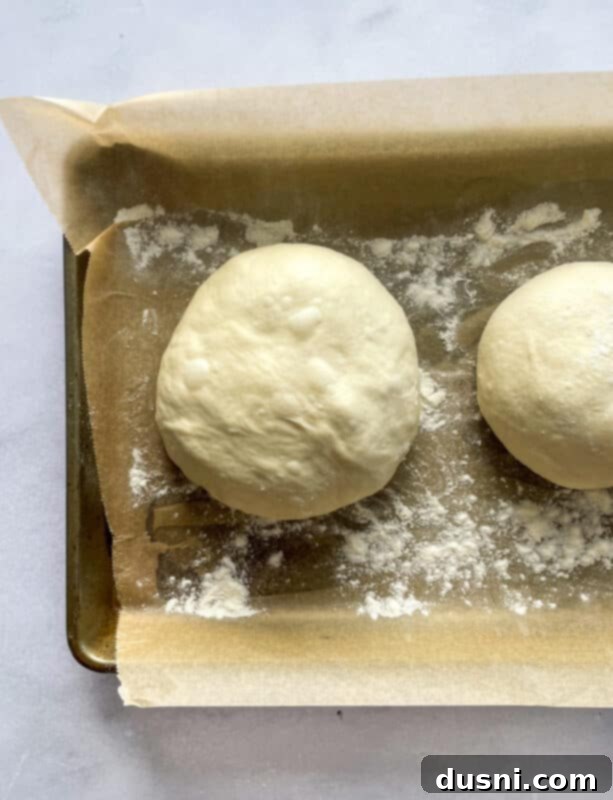 Freshly kneaded homemade pizza dough, ready to be rolled out.