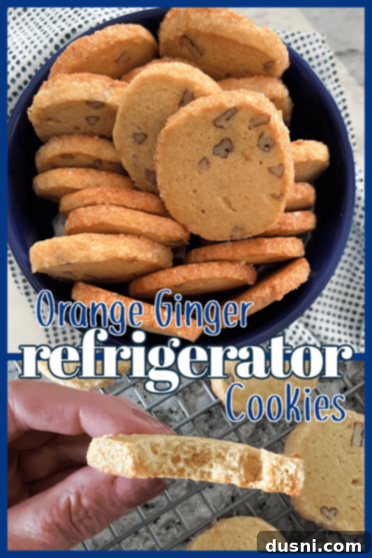 Freshly baked Orange Ginger Refrigerator Cookies cooling on a wire rack.