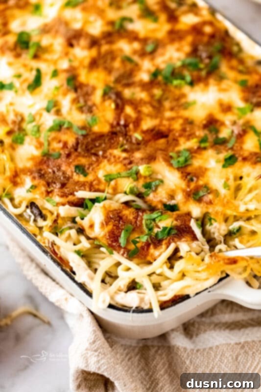 Hearty Leftover Turkey Pasta Bake 14 Close-up of a serving of Turkey Pasta Bake in a bowl, showing the rich texture and melty cheese.