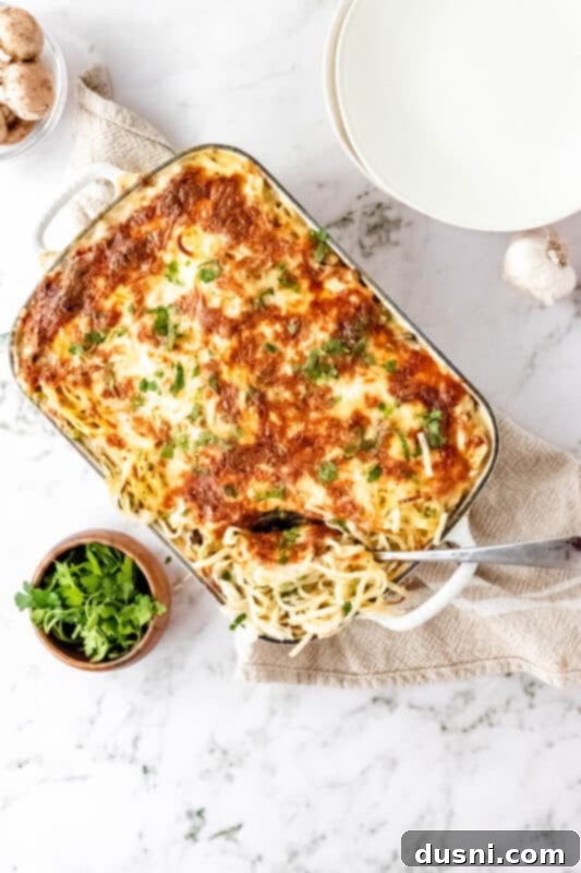 Hearty Leftover Turkey Pasta Bake 15 A large serving of creamy Leftover Turkey Tetrazzini in a casserole dish, topped with melted cheese.