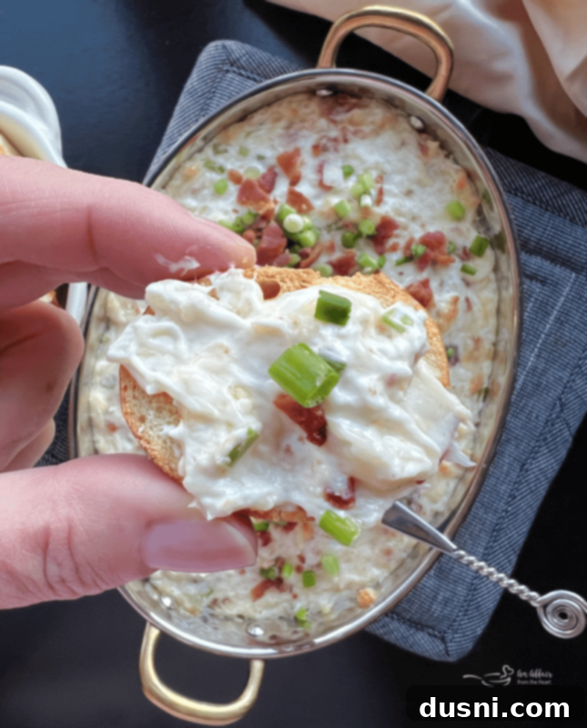 Sauerkraut, Bacon, and Swiss Dip 12 Baked Sauerkraut Bacon & Swiss Dip in a square dish