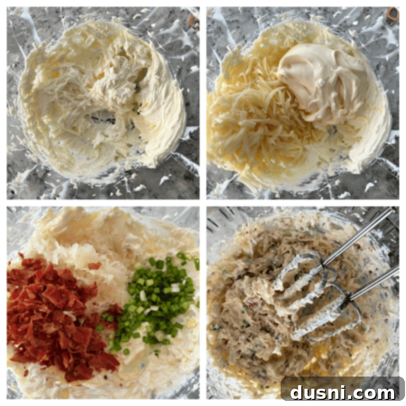 Sauerkraut, Bacon, and Swiss Dip 6 Ingredients for Sauerkraut Bacon & Swiss Dip laid out