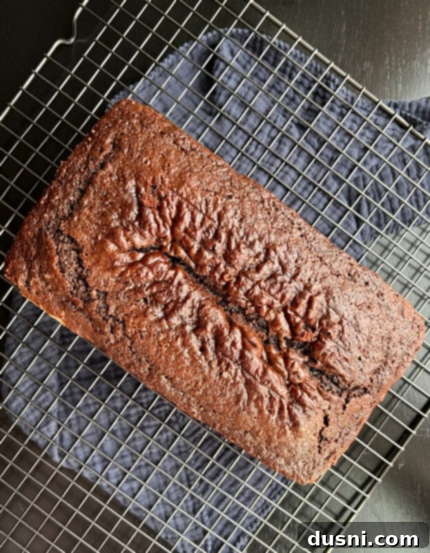 The Sauerkraut Secret Chocolate Pound Cake 13 Golden-brown baked chocolate sauerkraut pound cake cooling in its loaf pan