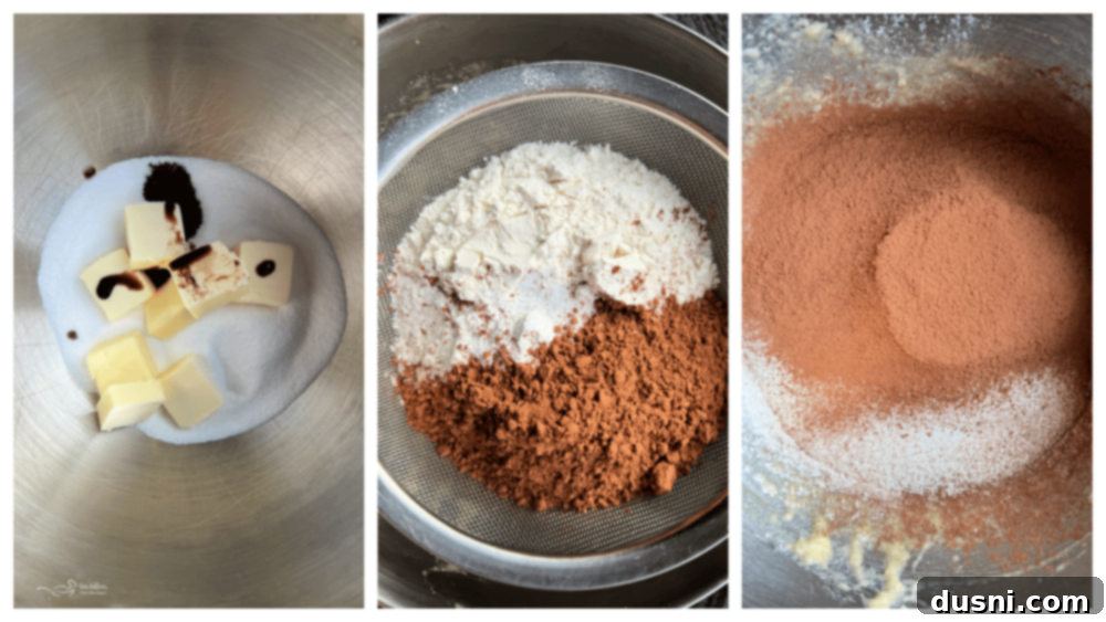 The Sauerkraut Secret Chocolate Pound Cake 10 Ingredients for chocolate sauerkraut pound cake laid out, including a bowl of chopped sauerkraut