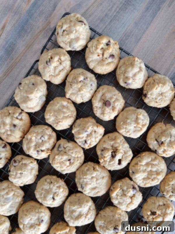 Mom's Homemade Delights 12 Yum Yum Cookies baking in the oven on a sheet pan.