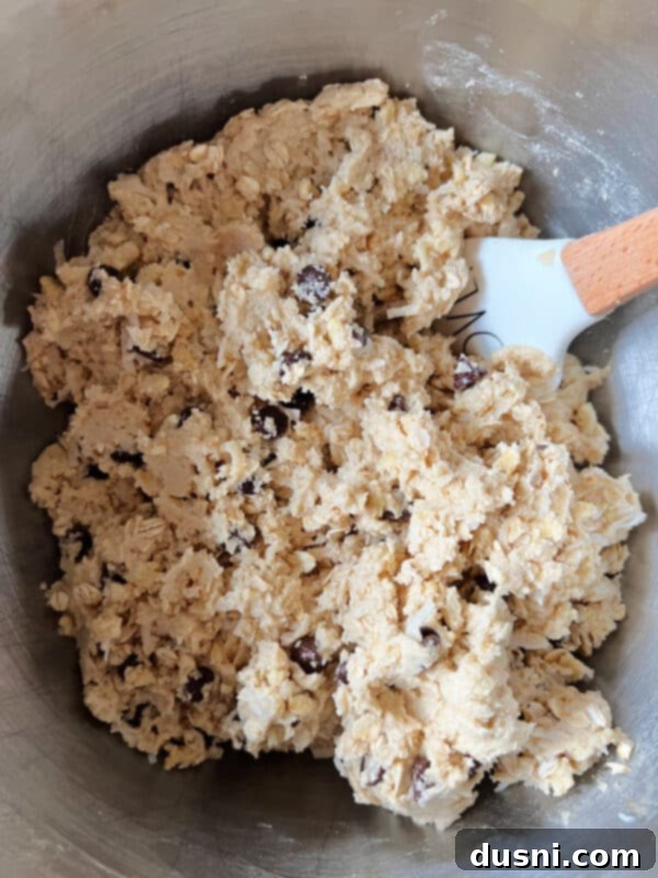 Mom's Homemade Delights 10 Rice Krispies, coconut, oatmeal, and chocolate chips folded into cookie dough.