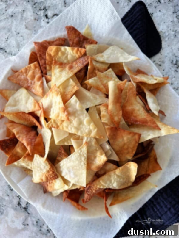 Crispy Air Fryer Wonton Chips 2 A bowl of golden-brown air fryer wonton chips, perfectly crispy and ready to eat.