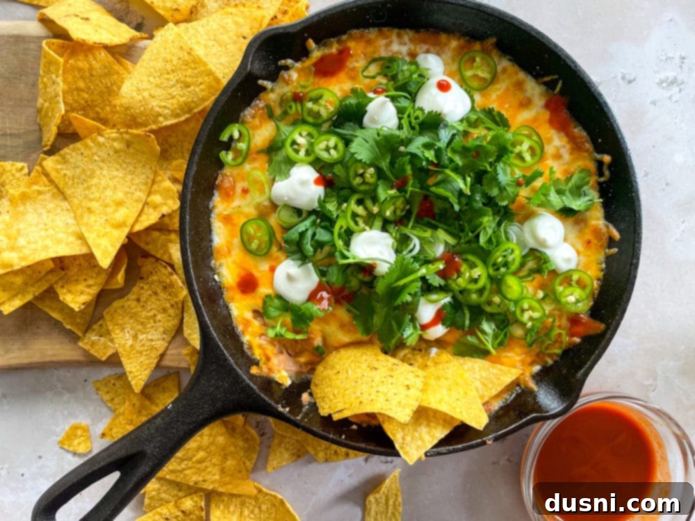garnished bean dip