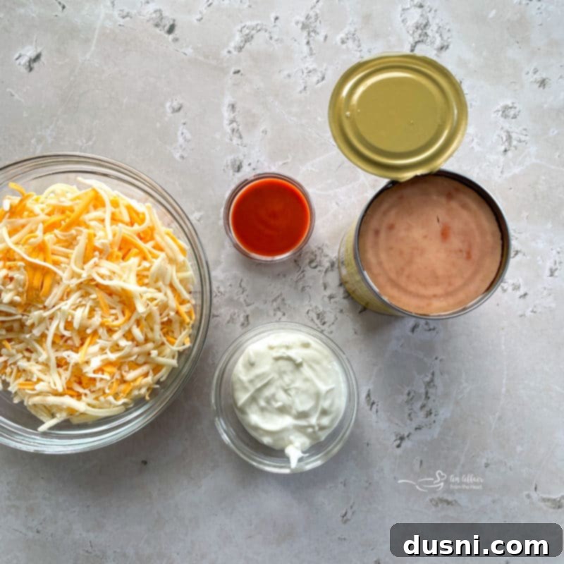 ingredients for Mexican bean dip