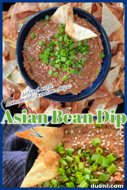 A graphic that says 'Asian Bean Dip - An Affair from the Heart - Love it? Pin it!'