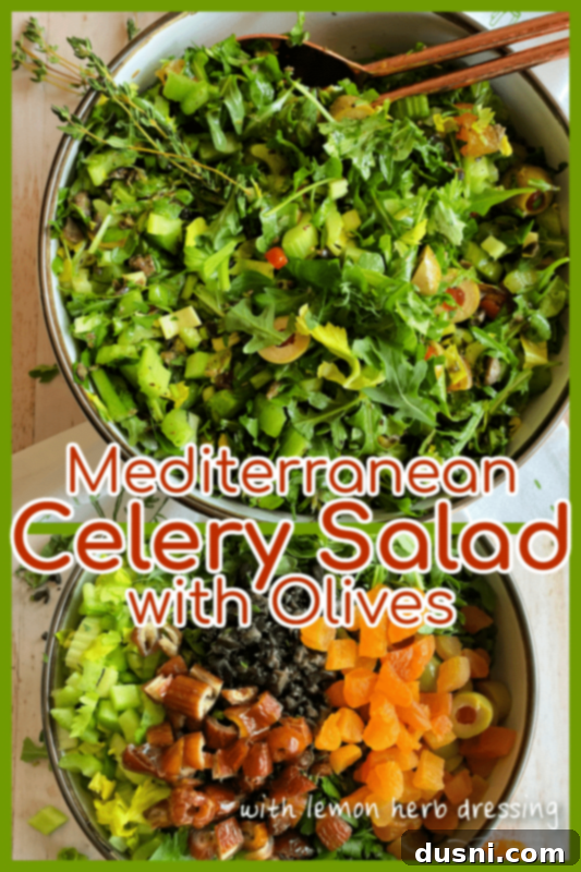 A beautifully plated serving of Mediterranean Celery Salad with Olives.