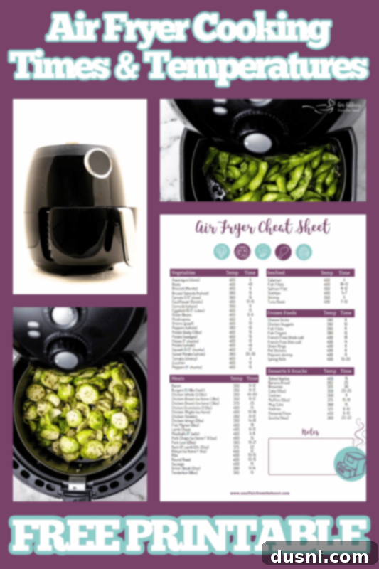 Air Fryer Cooking Times and Temperatures Cheat Sheet