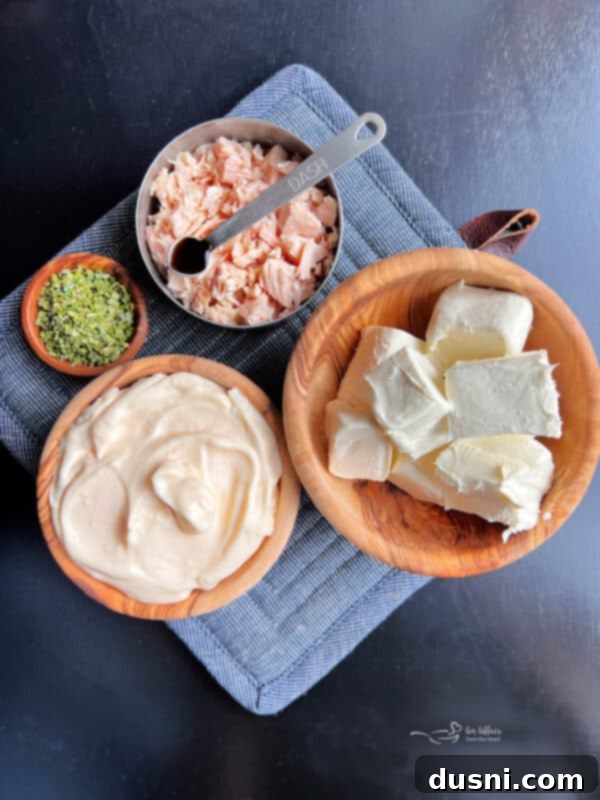 Golden Chicken Cracker Dip 3 Close-up of creamy Chicken in a Biskit Dip