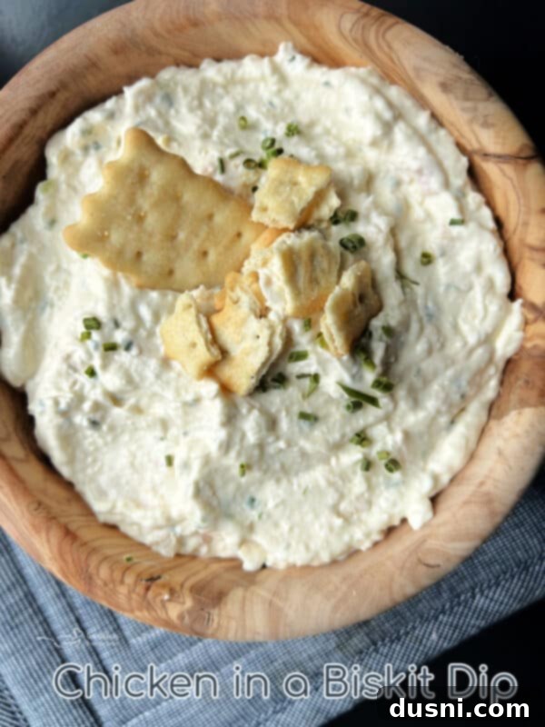 Golden Chicken Cracker Dip 10 Hero shot of Chicken in a Biskit Dip