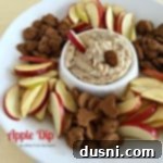 Apple Dip 3 Creamy Horizon Organic Apple Dip in a white serving bowl with fresh apple slices and cinnamon graham crackers.