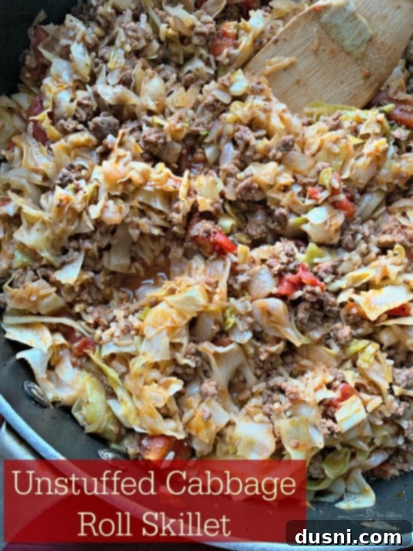 Lazy Cabbage Roll Skillet 9 A delicious serving of Unstuffed Cabbage Roll Skillet in a bowl, highlighting a healthy, fiber-rich meal.