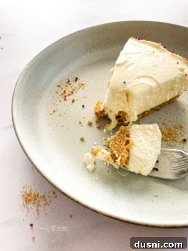 Dreamy Marshmallow Cloud Cheesecake 2 Creamy No-Bake Marshmallow Cheesecake topped with colorful sprinkles and a hint of lemon zest