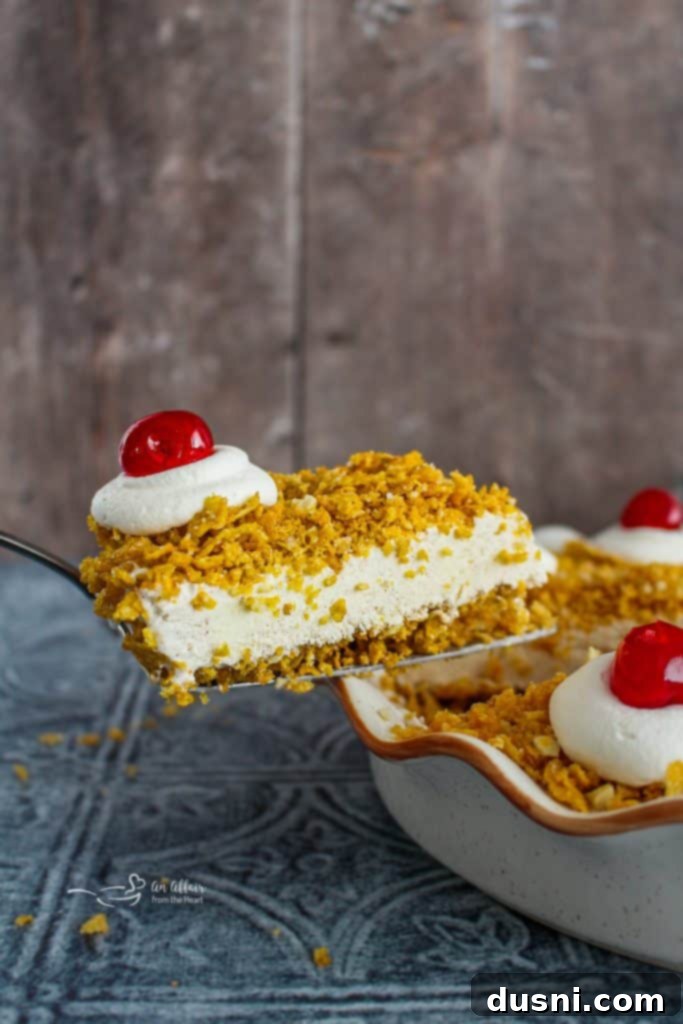 Fried Ice Cream Pie 4 Overhead view of a whole no-bake fried ice cream pie garnished with whipped cream and cherries